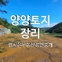 양양 현북면 장리 토지매매(토목공사 완료) #양양땅 #양양토지