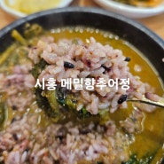 시흥 계수동 맛집 메밀향추어정, 얼큰하고 구수한 추어탕과 막국수! + 주차