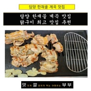 담양 한재골 계곡 닭구이 최고 맛집 추천