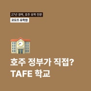 호주 유학 | 정부가 직접 운영! 가장 큰 규모의 학교, TAFE 영주권 학과