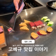 오사카에서 고베 자유여행 코스 (고베규 맛집, 여행지, 하버랜드, 당일치기)