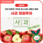 새콤달콤~ 맛과 영양이 가득한 탐스러운 새빨간 열매🍎사과🍏 제철투어