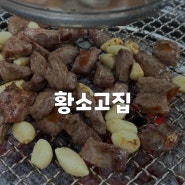 [경기/용인] 가성비 좋은 숯불 통갈매기살 고기 맛집 황소고집