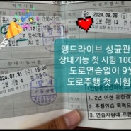 장내기능도 첫 시험 100점 합격! 도로주행도 첫 시험 합격! (수원실내운전연습장, 용인운전면허시험장)