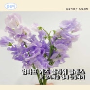 엄마표 키즈꽃놀이 꽃정기구독업체 선정하기 (꾸까, 플라워팜팜, 포지포레, 유스풀몰 )