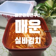 한국 매운김치연구소의 실비김치: 매운 김치의 대명사!