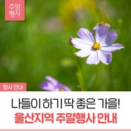 울산지역 주말행사 (9/27~9/29)