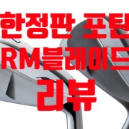 포틴 한정판 아이언 RM블레이드 시타 가격 리뷰 (골때려골프 해운대)