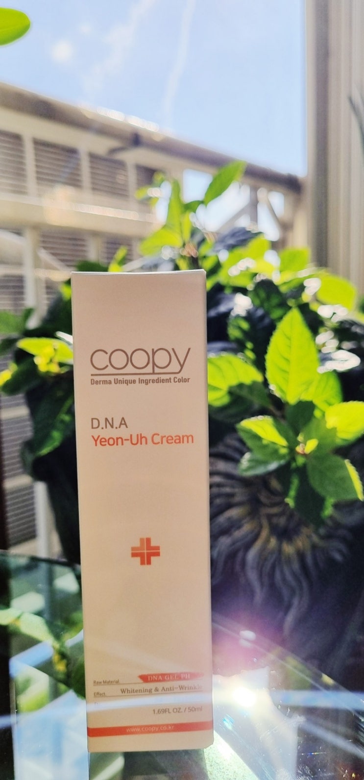 연어크림 약국 피부 재생크림 으로 유명한 쿠피(COOPY) PDRN 연어크림 내가써본후기 : 네이버 블로그