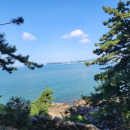 충청남도 보령 가볼만한곳 : 죽도 상화원 바다뷰 산책하기 좋은 정원