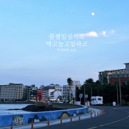 블챌 일상기록 먹고 놀고 일하고 feat.다카마쓰여행 캐논시그마서비스센터