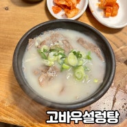 유명한 용문 맛집 고바우설렁탕/양평 집밖으로 캠핑장 맛집