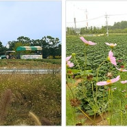 '가을걷이' 도시인에게..경기 곳곳에 '수확 가족체험농장'..서삼릉 중산농원 수확체험농장