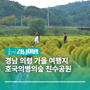 [경남/의령]경남 의령 가을 여행지 호국의병의숲 친수공원 댑싸리