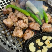 맛잘알 인정 청주 3대 고깃집 동래정 직접 구워주는 숯불 산남동 고기 맛집