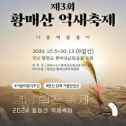 합천 황매산 억새축제 기본정보 가수 주차 경남 가을여행지 억새군락지 핑크뮬리