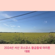 2024년 서산 코스모스 황금들녘 마라톤 대회