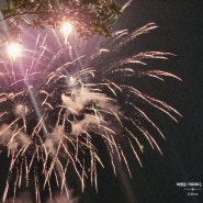 [운정호수공원 불꽃축제] 화려한 불꽃의 향연 2024