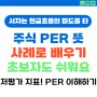 PER이 높은게 좋아? 낮은게 좋아? 주식 PER 뜻 ft. 저평가 지표