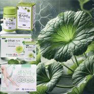 <정맥부전-4> 센텔라 정량 추출물 (Centella) / 센시아, 센테라, 센실라