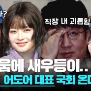 뉴진스 하니 국감 조사 환영, 이제 이 어리광을 끝내자 by 학폭 멈춰 영상