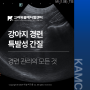 [고려동물메디컬센터] 강아지 경련, 특발성 간질, MRI 검사