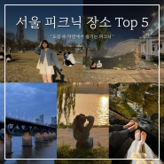 나들이 하기 좋은 가을날씨 서울 피크닉 장소 Top5