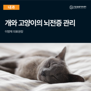 우리 아이 '간질발작 응급처치'와 '뇌전증의 장기적인 관리법'