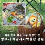 서울근교 가을 소풍 갈만한곳 양주 회암사지 박물관 공원