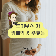 임산부 차 루이보스티 카페인? 어떤 효능이 있는가?