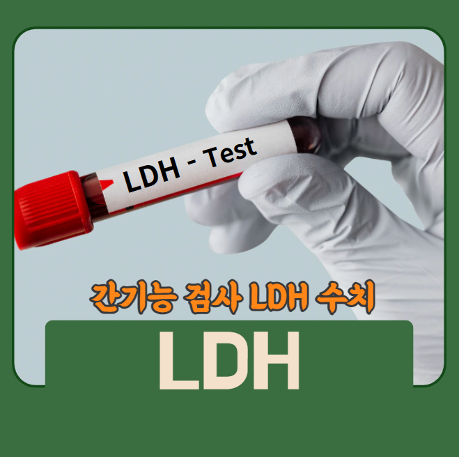 간기능 검사 LDH 수치 알아봐요 : 네이버 블로그