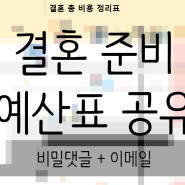 [자료공유] 극J 가 만든 결혼 준비 예산표 ( + 엑셀파일 공유 ♥ )