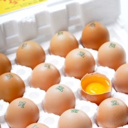 혈당관리에 도움 되는 바나듐 계란 중에서 품질 좋은 황금알 기능성 달걀