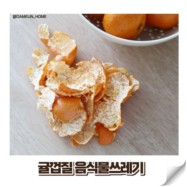 귤껍질 음식물 일반쓰레기 분리수거 버리는법 이걸로 정리 끝! : 네이버 블로그