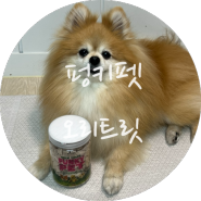 건강한 강아지간식 추천 / 펑키펫 동결건조간식 오리트릿