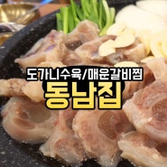 파주 롯데아울렛 인근 맛집 '동남집 파주심학산점'