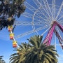 [호주🇦🇺 멜버른 여행] “GEELONG” 2024년 새해 질롱 당일치기, 기차로 가는 법 + 페리 예매 정보 (Estern Beach, Giant Sky Wheel)