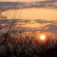 마포 해돋이 명소 하늘공원 새해의 시작은 일출과 함께