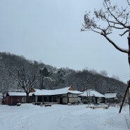 [강화 물푸레 시골집]2023의 끝자락, 눈이 한가득 쌓인 날 촌캉스