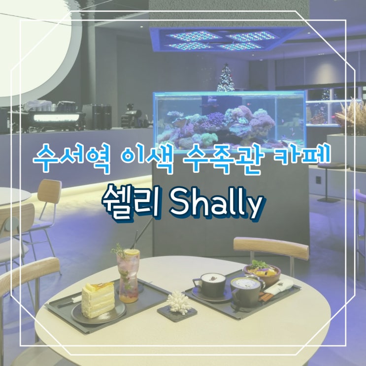 수서역 이색 수족관 카페 쉘리 Shally