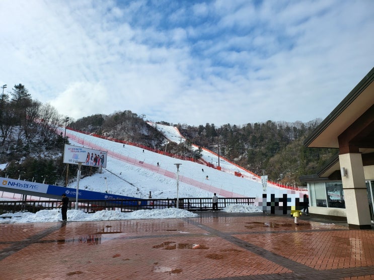 강촌 엘리시안 스키장 ⛷️ (Feat. X5 시즌권, 무료 셔틀버스) : 네이버 블로그