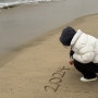 청룡해가 밝았습니다🐉 | 영덕 일출 보러 갔지만..