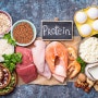 [창동 필라테스]단백질 섭취 적정량 추천!!