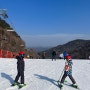 정선 하이원에서 초등학생 아이들 첫 스키 도전 (23.12)