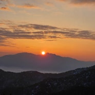 새해 복 많이 받으세요