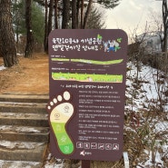 동탄/육탄10용사 기념공원 맨발걷기 길
