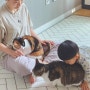 아기와 고양이 함께 키우기 장단점 ( 3년째 동거중 )