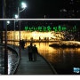 부산 시민공원 겨울 빛축제