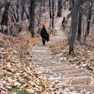 사당동 걷기 좋은 길 - 동작충효길 7코스, 관악산 둘레길 초입