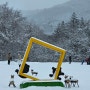 블루베리 전문 농원 베리조아농원의 새해 소망